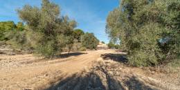 Resale - Finca - Orihuela Costa