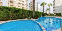 Resale - Penthouse - Torrevieja - Estacion de autobuses