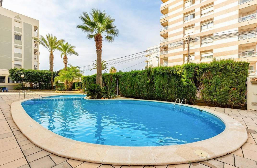 Resale - Penthouse - Torrevieja - Estacion de autobuses