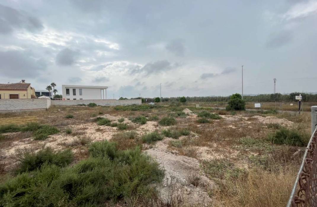 Resale - Plot - San Fulgencio