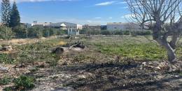 Resale - Renovation - Almoradí