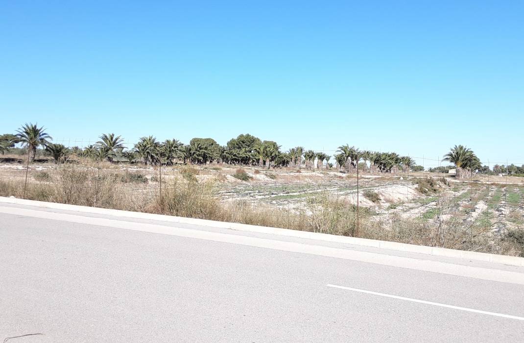 Resale - Semi Detached Villa - Los Montesinos - Urbanizacion montesol