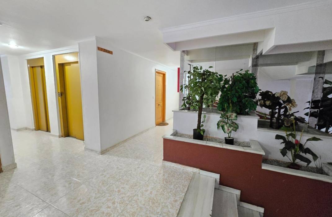 Resale - Studio - Torrevieja - torrevieja