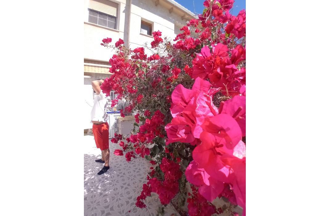 Resale - Townhouse - La Mata