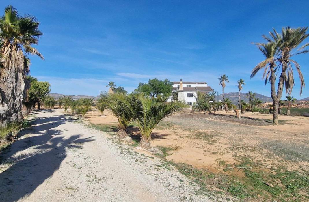 Resale - Villa - Cieza