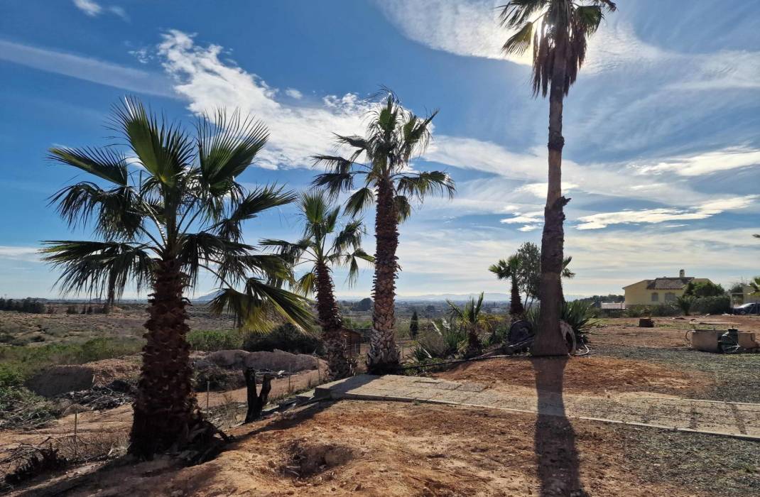 Resale - Villa - Cieza