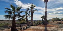 Resale - Villa - Cieza