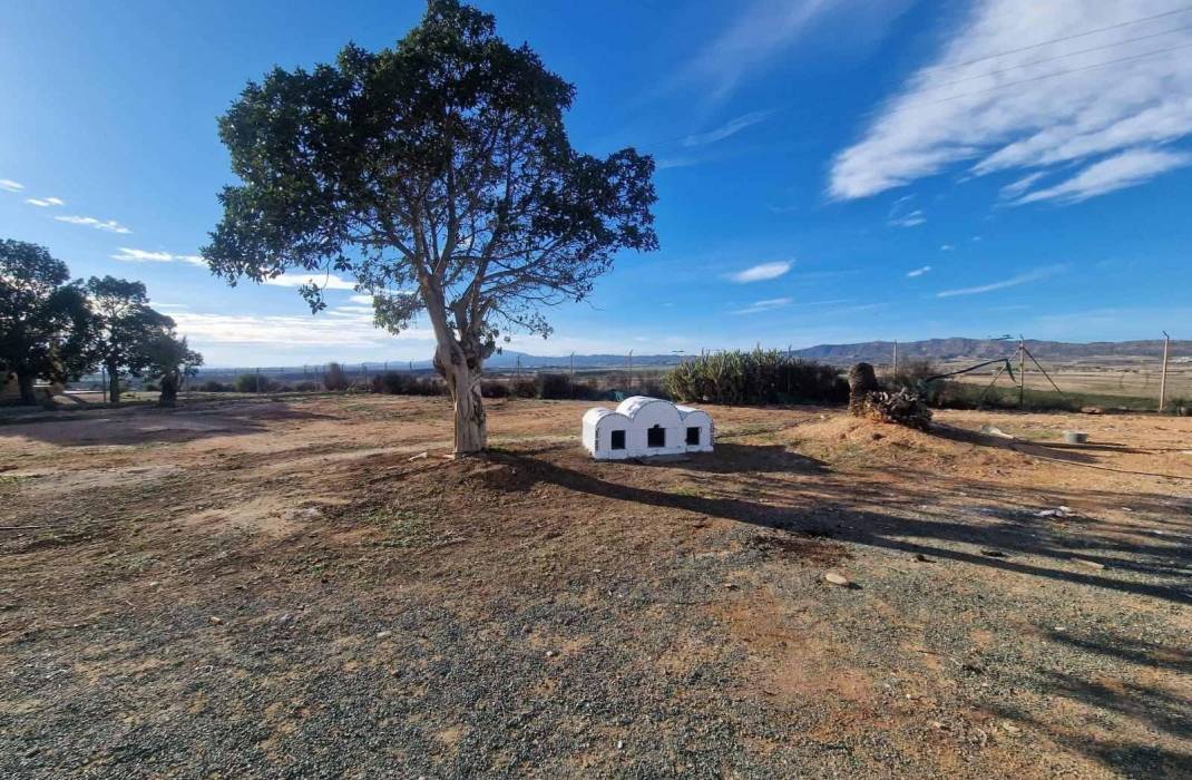 Resale - Villa - Cieza