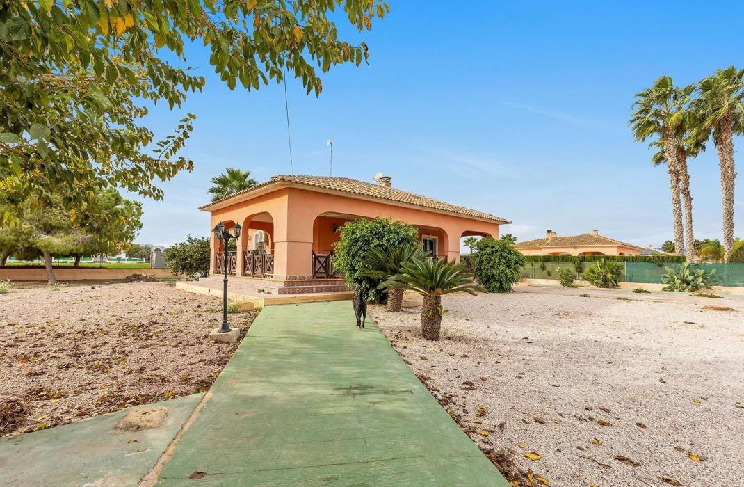 Resale - Villa - Dolores - Comunidad valenciana