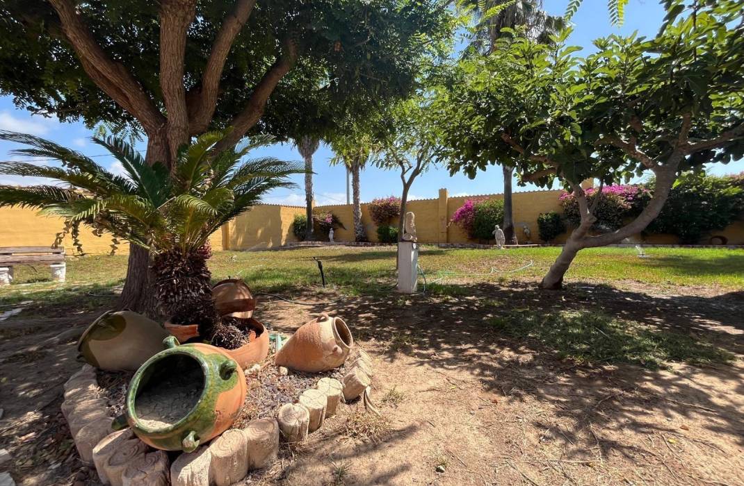 Resale - Villa - Dolores - Comunidad valenciana