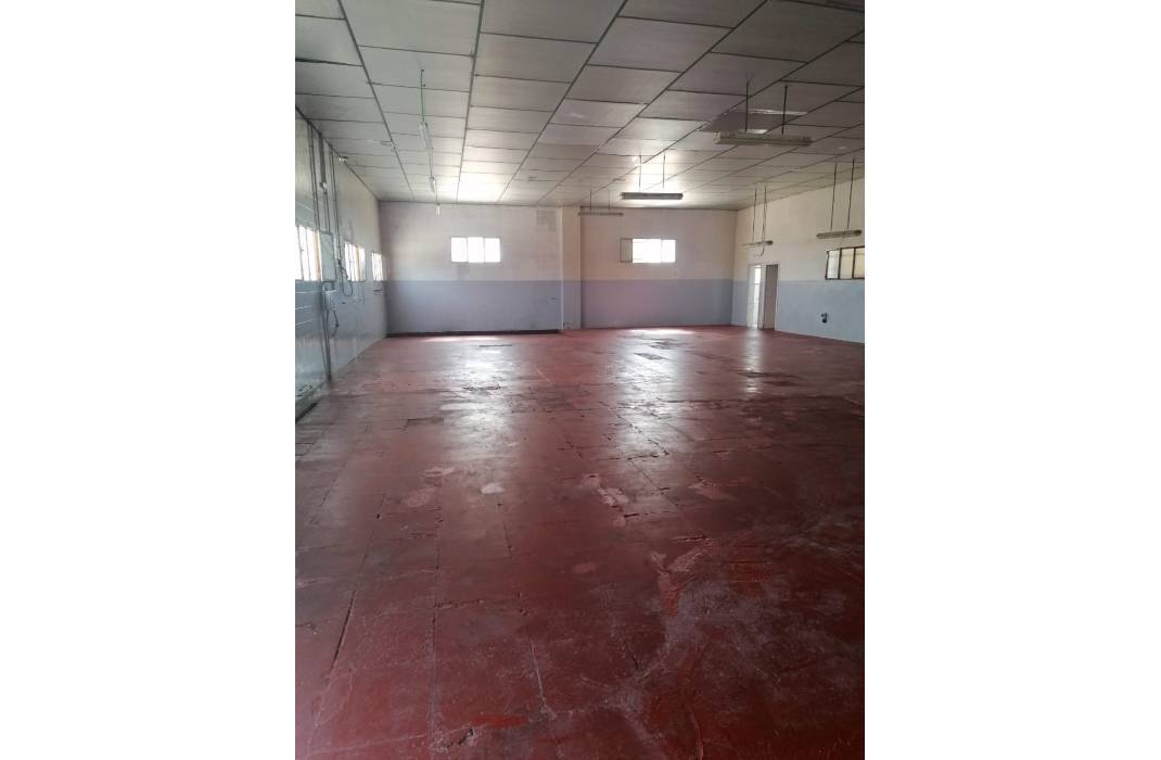 Resale - Warehouse - Los Montesinos - montesinos