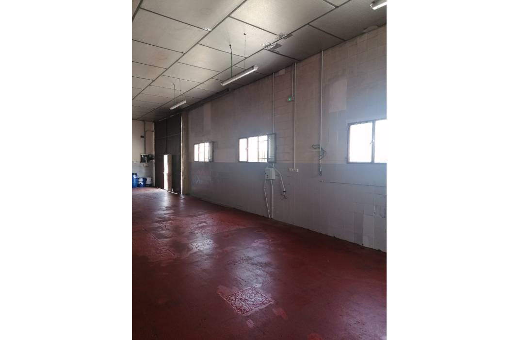 Resale - Warehouse - Los Montesinos - montesinos