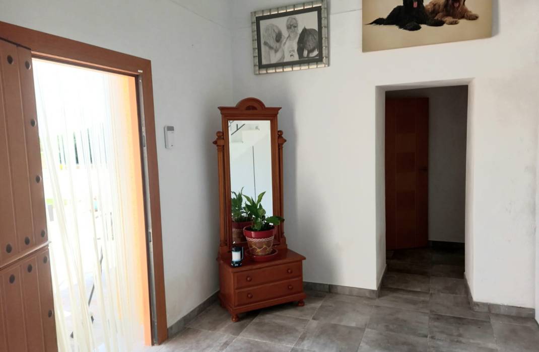 Revente - 5. Finca / Country Property - San Miguel de Salinas - Comunidad valenciana