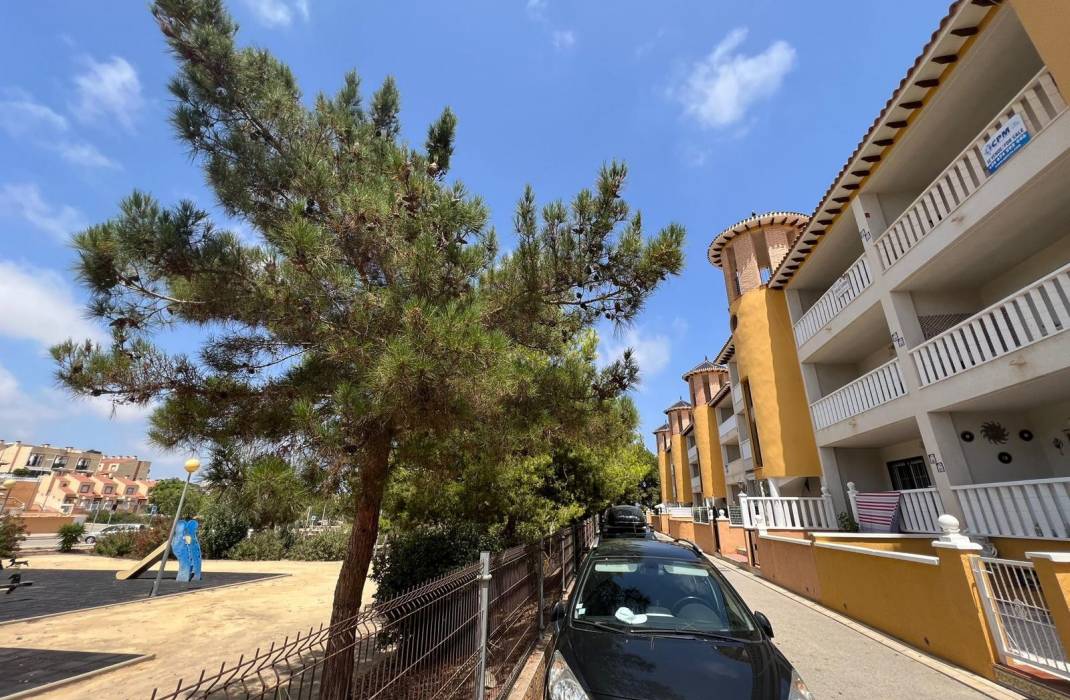 Revente - Apartment - Flat - Orihuela Costa - Cabo Roig