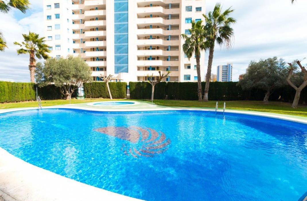 Revente - Appartement - Guardamar del Segura - CENTRO