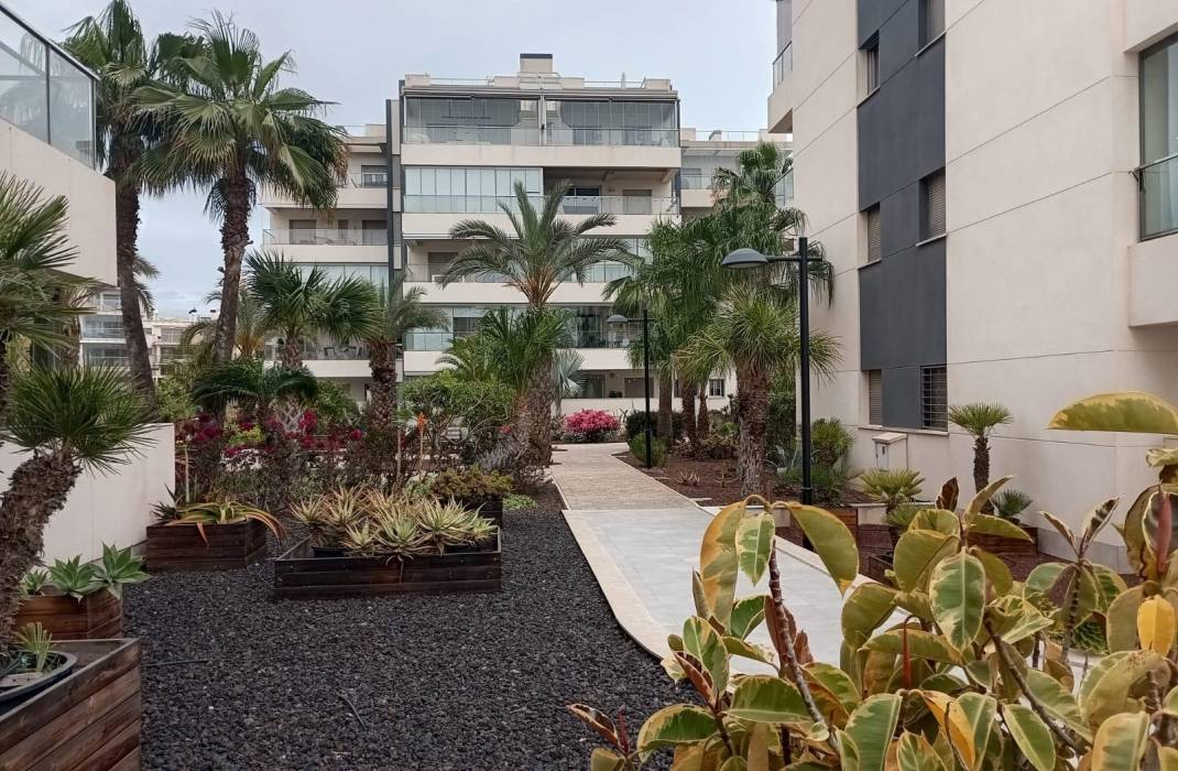 Revente - Appartement - Orihuela Costa - La Zenia