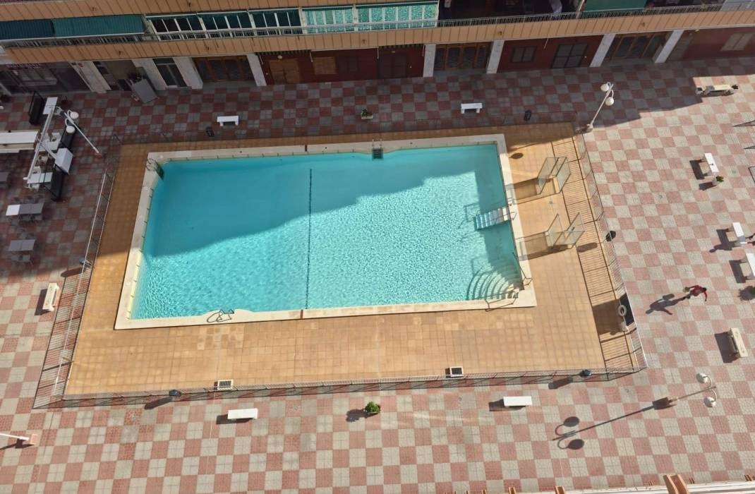 Revente - Appartement - Torrevieja - Acequion