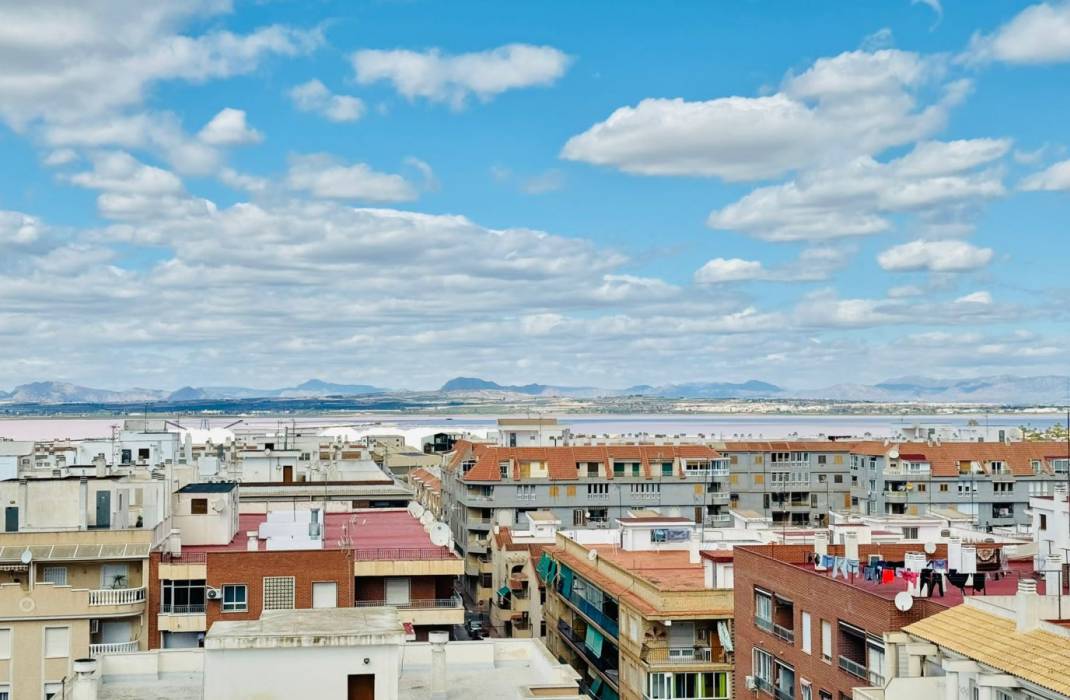 Revente - Appartement - Torrevieja - calle Gregorio Maraon n 41