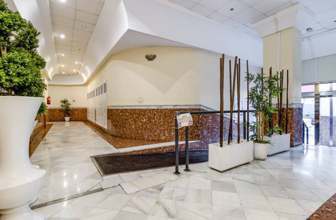 Revente - Appartement - Torrevieja - Caritas m 2
