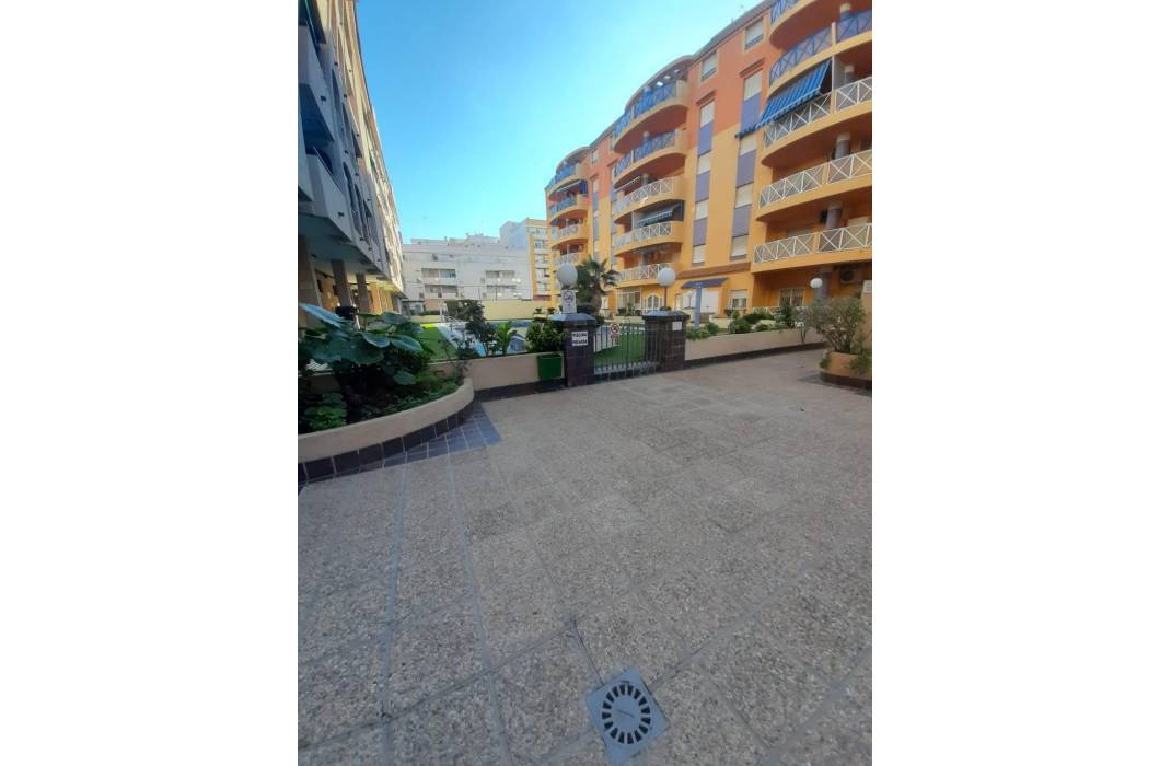 Revente - Appartement - Torrevieja - Centro