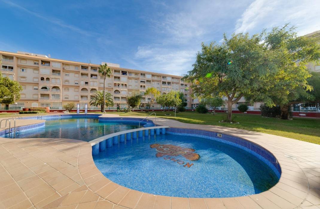 Revente - Appartement - Torrevieja - Centro