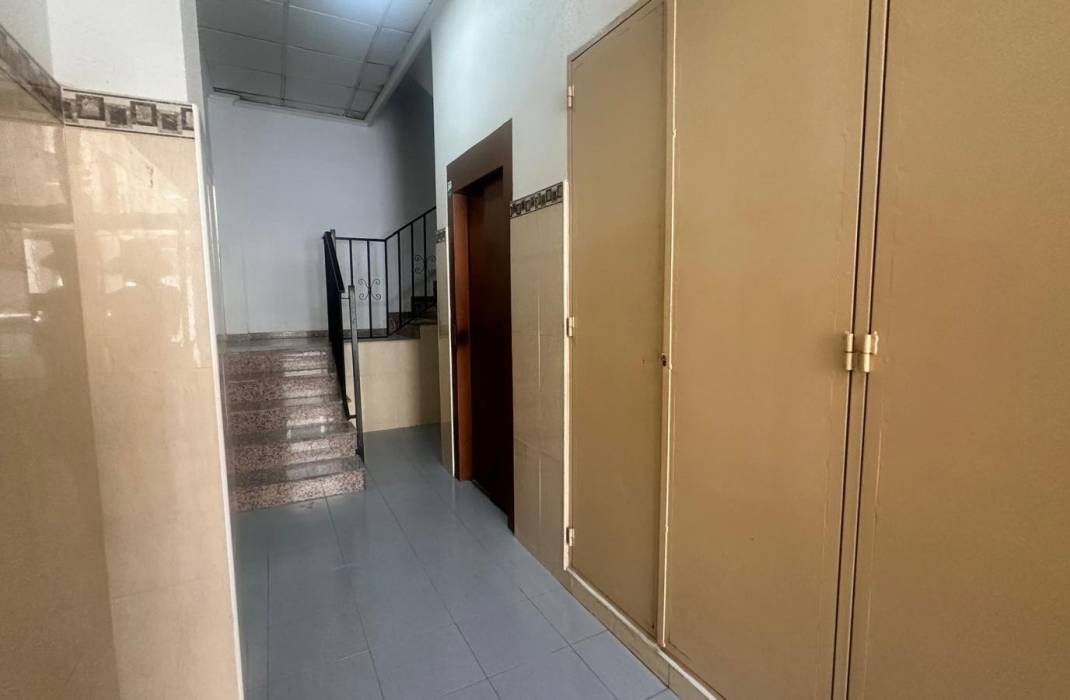 Revente - Appartement - Torrevieja - Gabriel Miro n 6