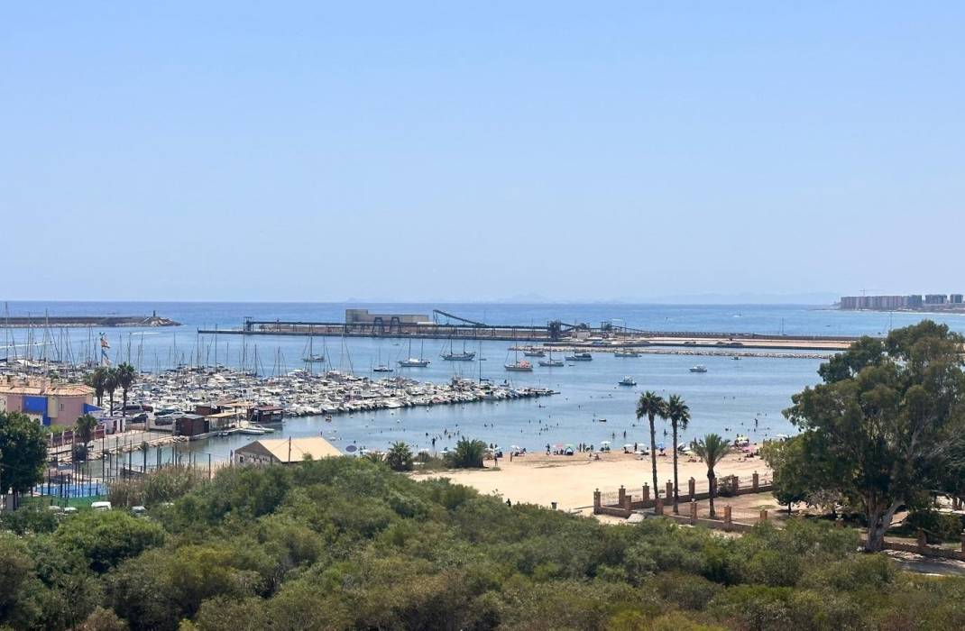 Revente - Appartement - Torrevieja - Gabriel Miro n 6