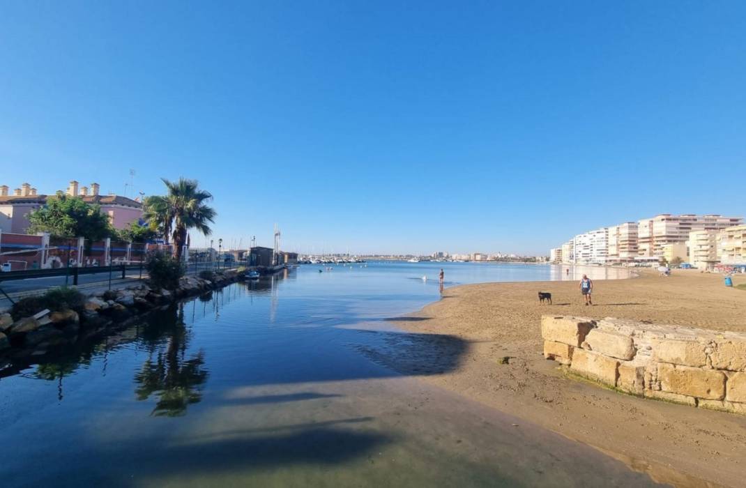 Revente - Appartement - Torrevieja - Gabriel Miro n 6