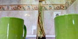 Revente - Appartement - Torrevieja - Gabriel Miro n 6