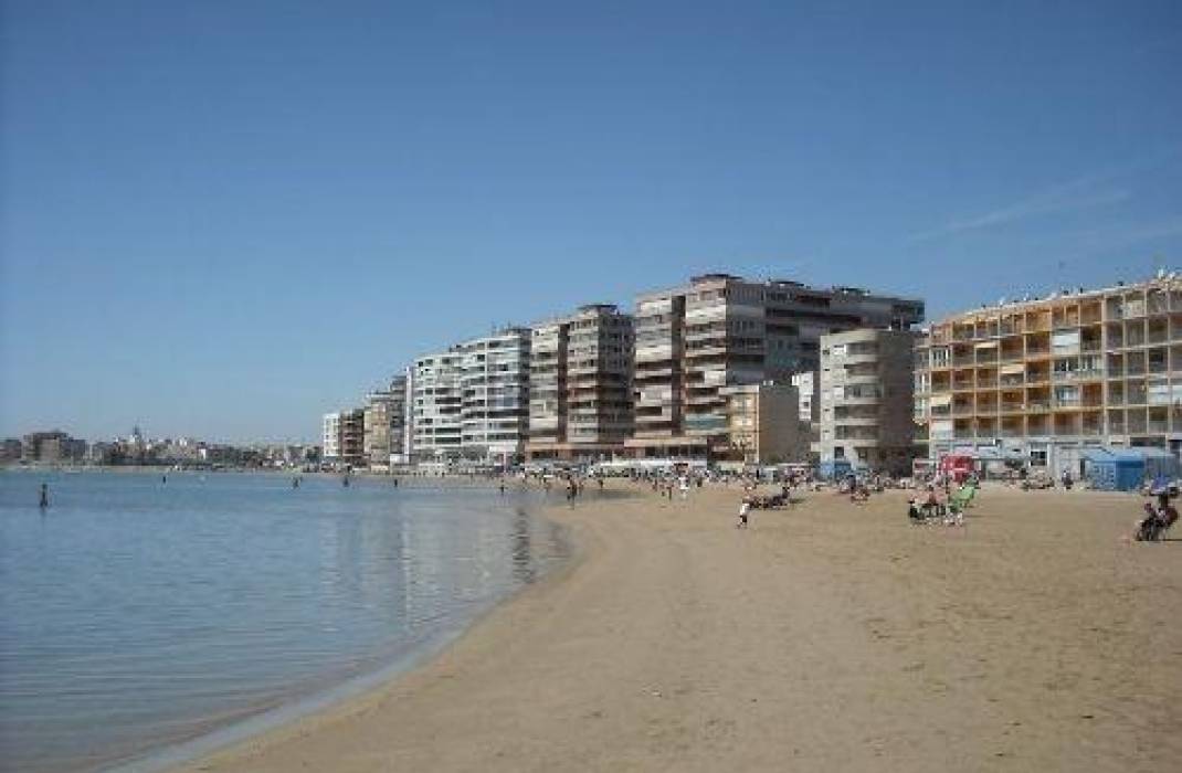 Revente - Appartement - Torrevieja - Gabriel Miro n 6