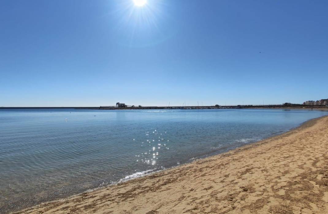 Revente - Appartement - Torrevieja - Gabriel Miro n 6