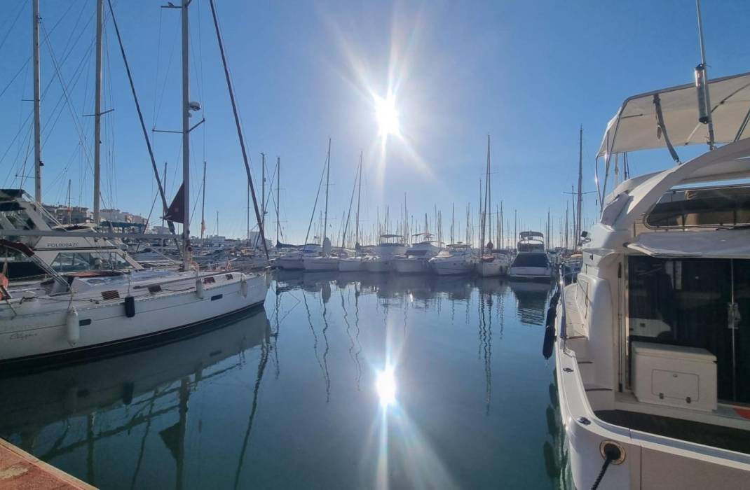 Revente - Appartement - Torrevieja - Gabriel Miro n 6