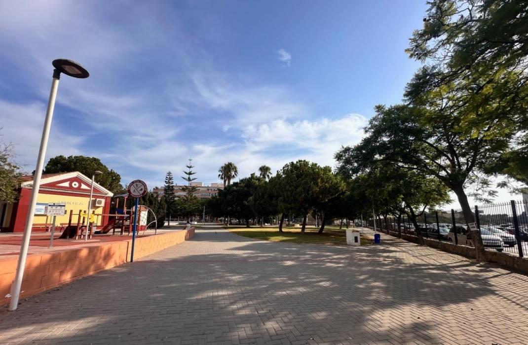 Revente - Appartement - Torrevieja - Gabriel Miro n 6