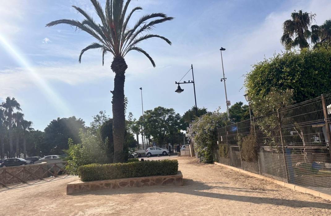 Revente - Appartement - Torrevieja - Gabriel Miro n 6