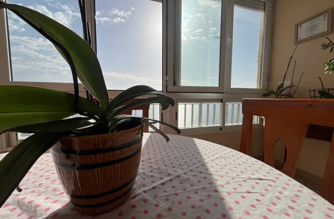 Revente - Appartement - Torrevieja - Playa del cura