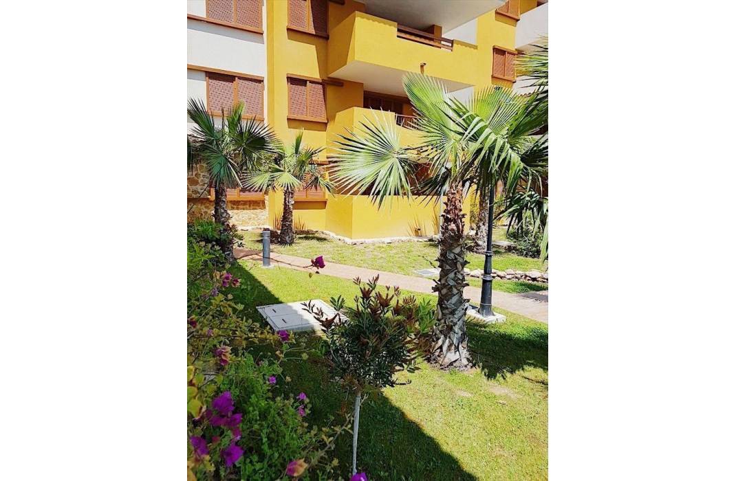 Revente - Appartement - Torrevieja - Punta prima