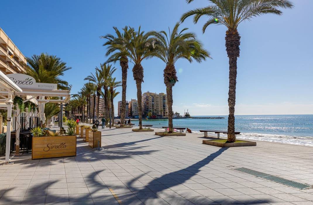 Revente - Appartement - Torrevieja - torrevieja