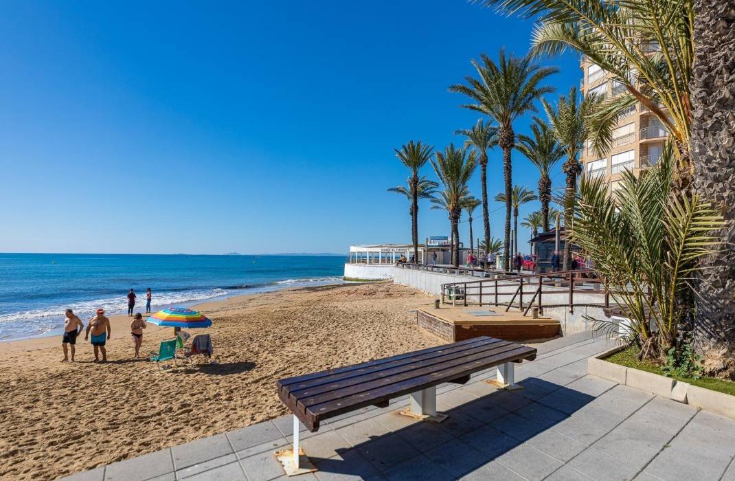 Revente - Appartement - Torrevieja - torrevieja
