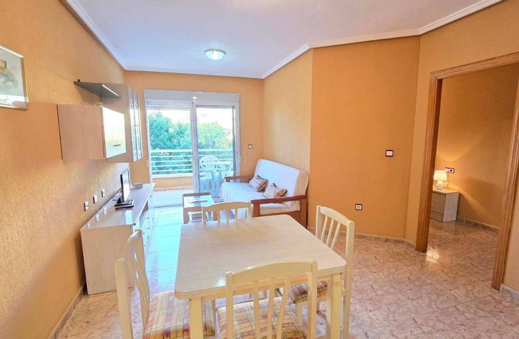 Revente - Appartement - Torrevieja - torrevieja