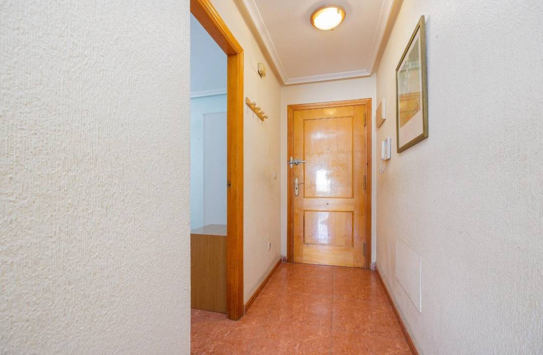 Revente - Appartement - Torrevieja - torrevieja