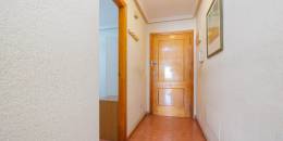 Revente - Appartement - Torrevieja - torrevieja