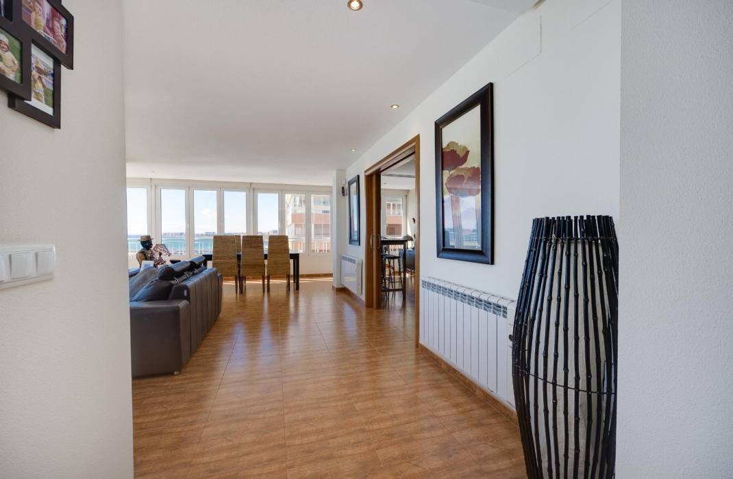 Revente - Appartement - Torrevieja - torrevieja