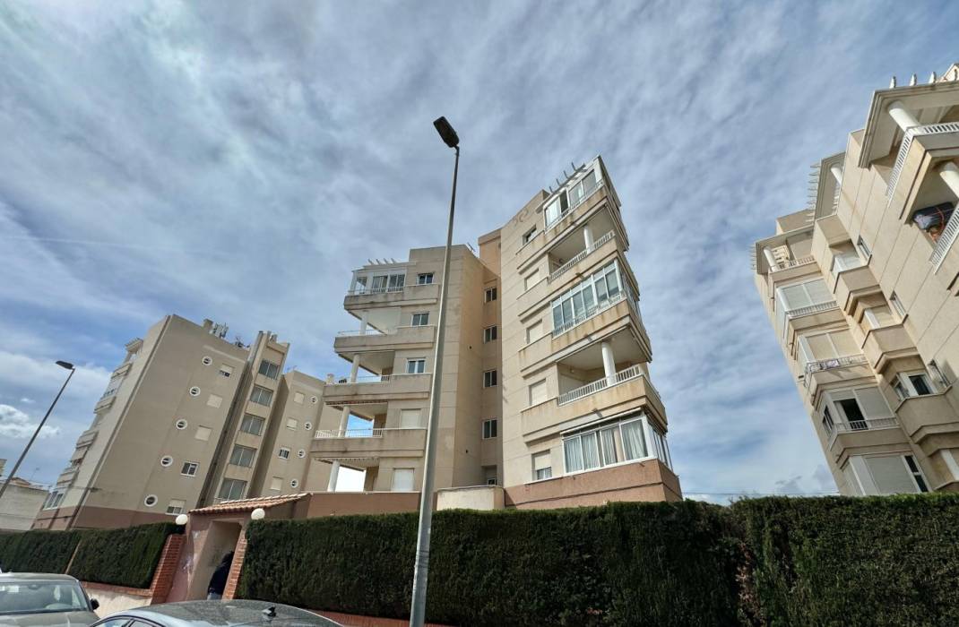 Revente - Appartement - Torrevieja - Virgen del Mar n 4