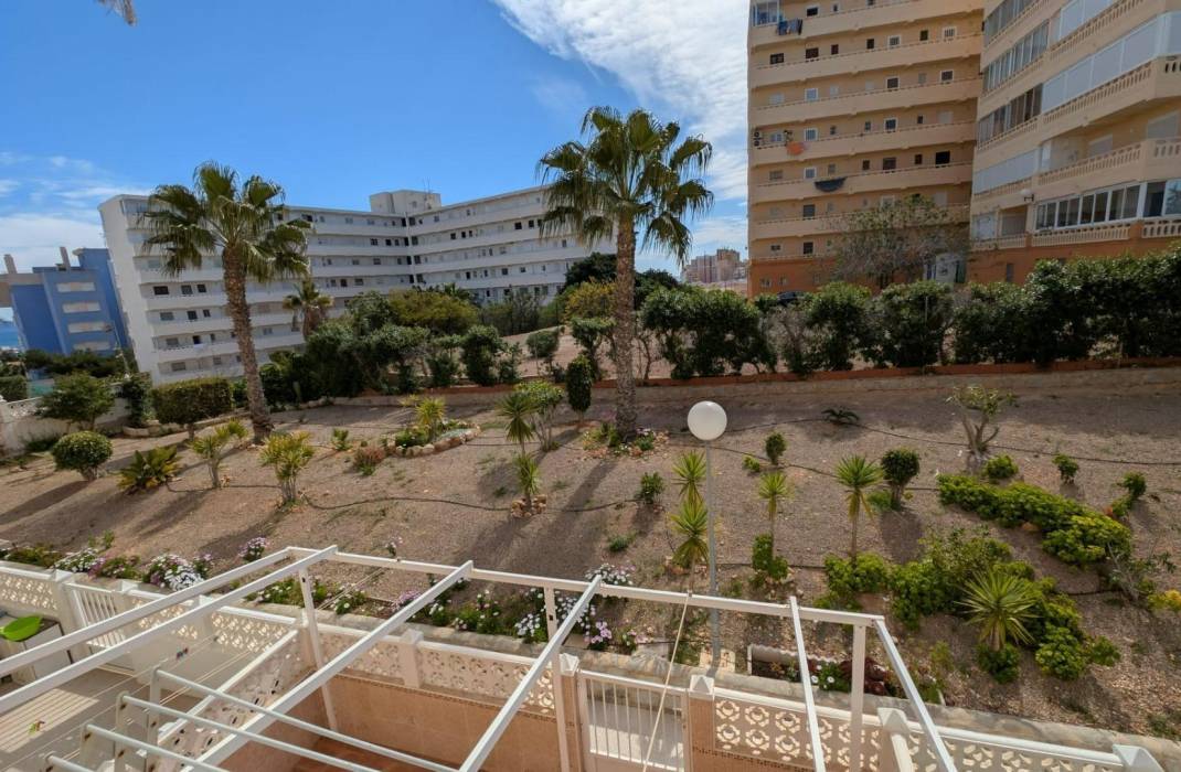 Revente - Attique - Torrevieja - Los Europeos