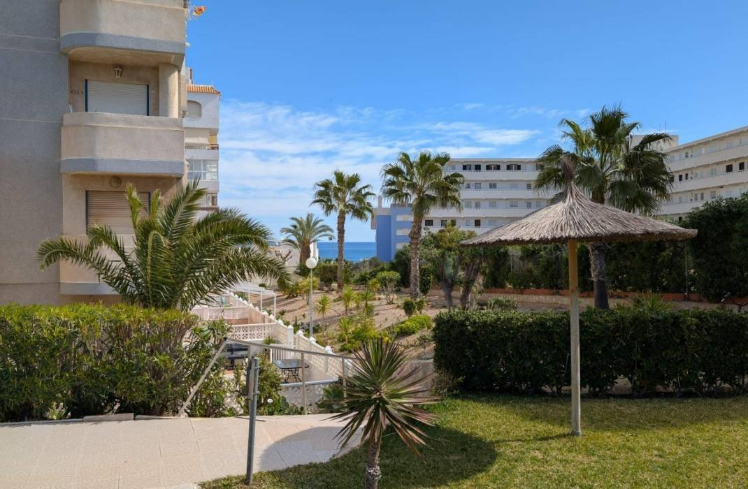 Revente - Attique - Torrevieja - Los Europeos