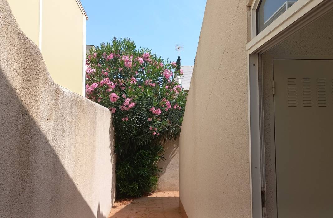 Revente - Bungalow - Los Montesinos - Urbanizacion montesol