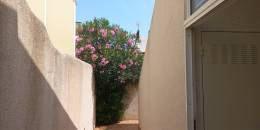 Revente - Bungalow - Los Montesinos - Urbanizacion montesol
