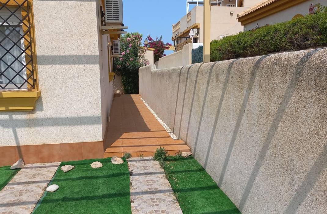 Revente - Bungalow - Los Montesinos - Urbanizacion montesol