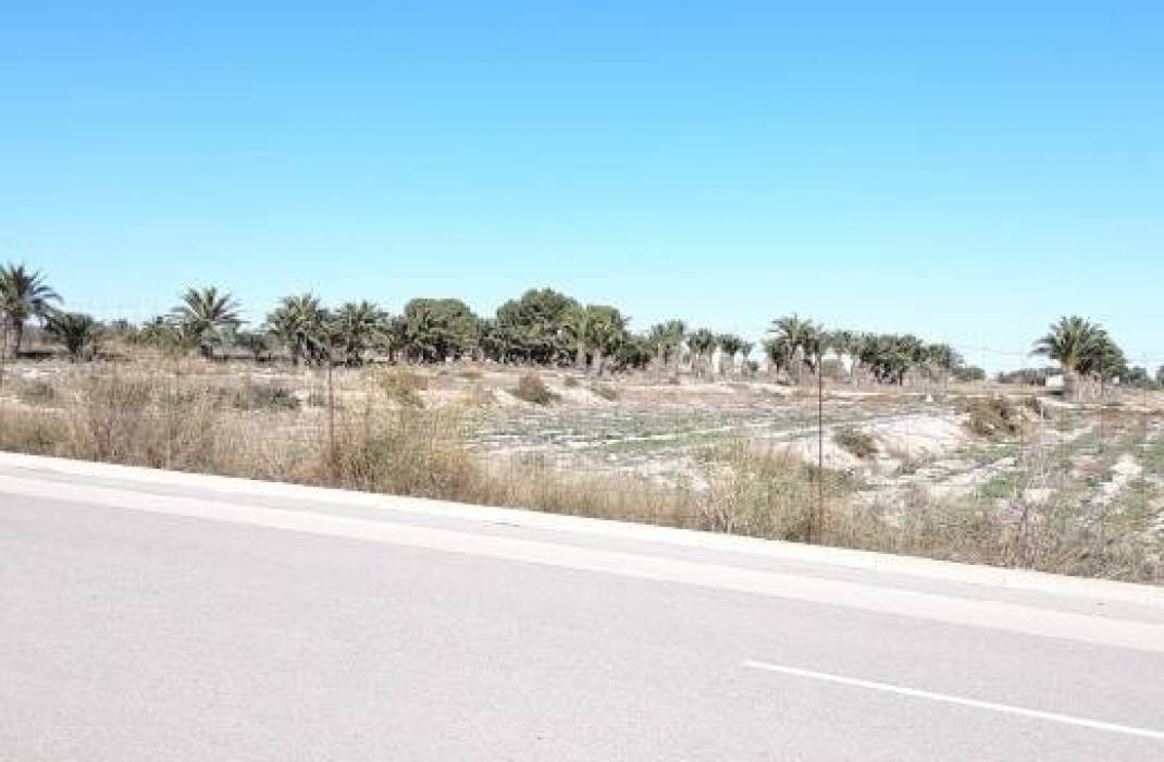 Revente - Bungalow - Los Montesinos - Urbanizacion montesol