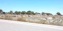 Revente - Bungalow - Los Montesinos - Urbanizacion montesol